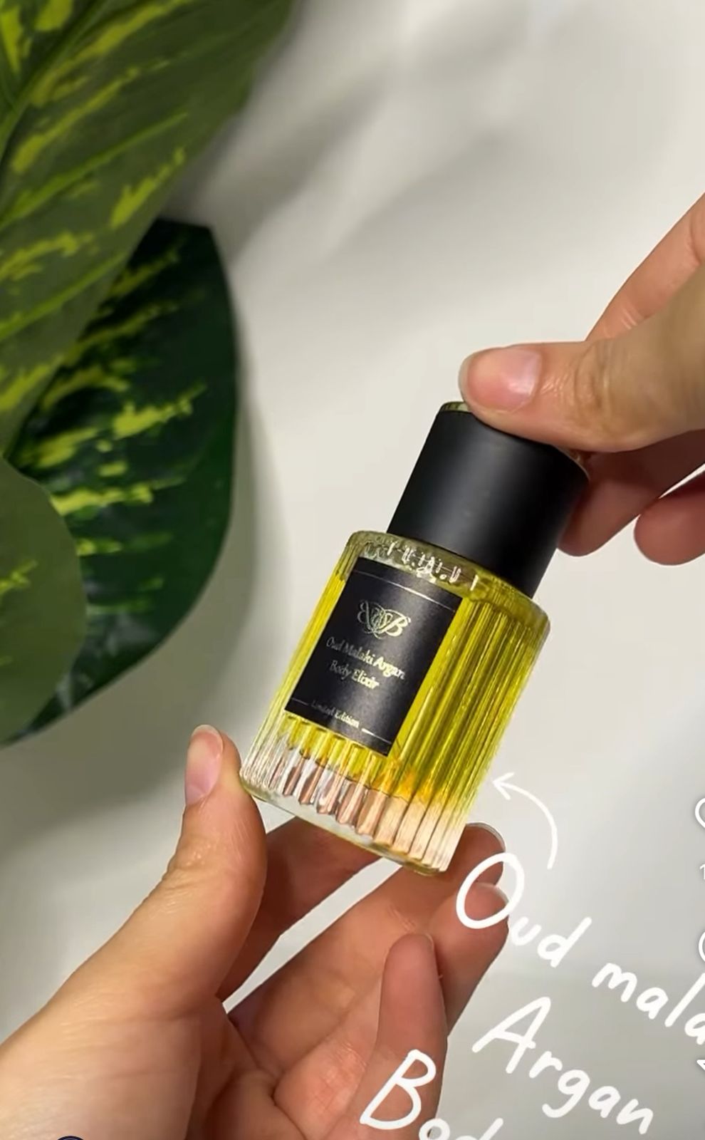 Oud malaki Édition limitée - bassmabousselcosmetics